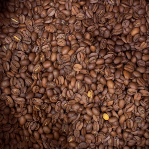 (NEW!) Mexican Mono Loco Chiapas Washed